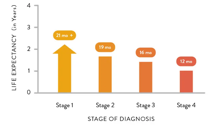 prognosis for stage 2 copd